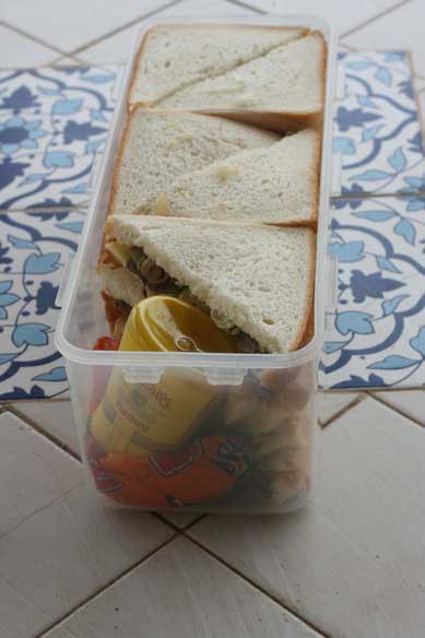 beach-sandwich-box