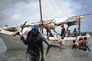 Ending piracy: An effective outcome might be found if the international community developed a programme to prevent the illegal destructive fishing and toxic dumping in Somali waters by foreign commercial vessels. Photo: AFP