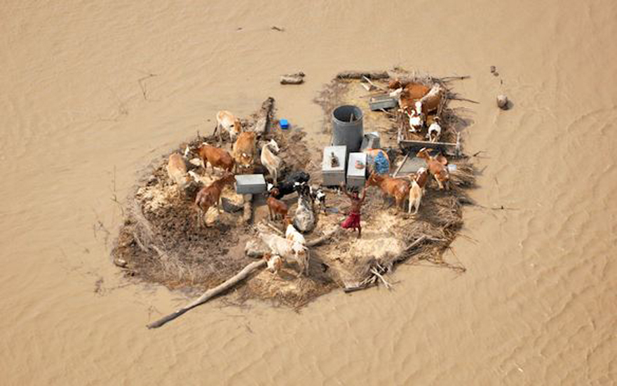 A man and his livestock are marooned by flood waters. He waves towards an Army helicopter for relief handouts in the Rajanpur district of Pakistan's Punjab province on August 9, 2010. Source: boston.com (REUTERS/Stringer)