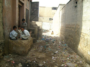 Roaming in squalor: A typical scene in Machar Colony. Photo: Parvez Akhtar.