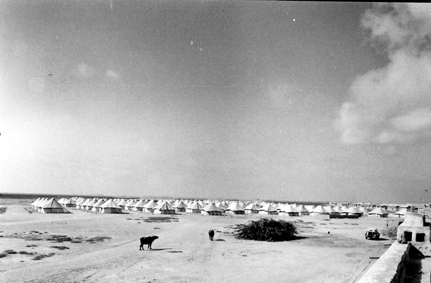 Karachi, 1948: An open area dotted by hundreds of temporary camps, housing government officials who ran matters of the country and the city from inside these dusty tents. Source: Pakistan’s Capital (A feature in 'LIFE' Magazine’s June, 1948 issue).