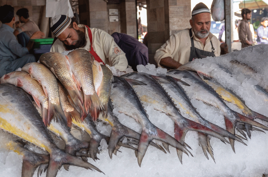 Delhi Colony A world In Its Own Newsline